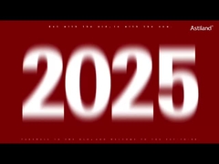 แอสติแลนด์ต้อนรับปีของงู