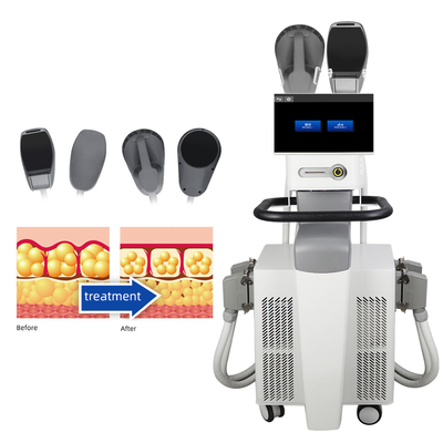 EMS Body Slim Machine สำหรับการกำจัดไขมันและเทคโนโลยี RF แบบรวม Body Slim