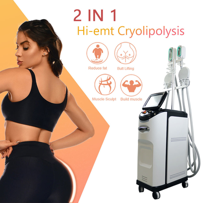Cryolipolyse EMS Machine 360 ​​Cryo Fat Freezing การกำจัดเซลลูไลท์