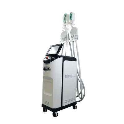 เครื่อง Cryolipolysis ที่ทันสมัย สําหรับการลดน้ําหนักและการปั้นร่างกาย