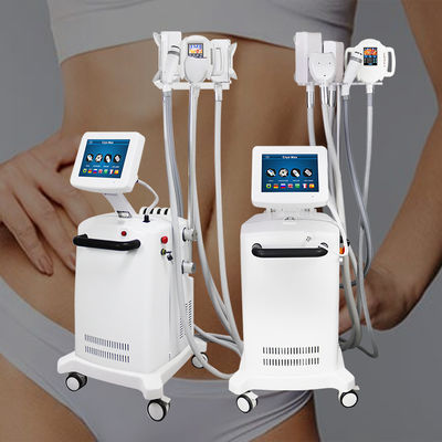 เครื่องลดน้ําหนัก Cryolipolysis มืออาชีพไขมันเย็น 360 มุมล้อมสําหรับร่างกาย
