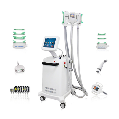 10.4 นิ้ว สีสัมผัสจอ Cryo-lipo เครื่องลดน้ําหนักสําหรับการลดไขมันมืออาชีพ
